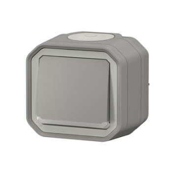  POUSSOIR NO LUM GRIS SAILLIE 
