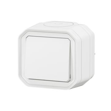  VV 10A BLANC SAILLIE 
