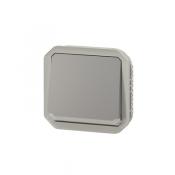  VV 10A TEMOIN GRIS COMPO 