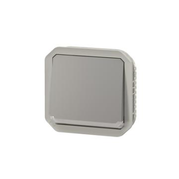  VV 10A TEMOIN GRIS COMPO 