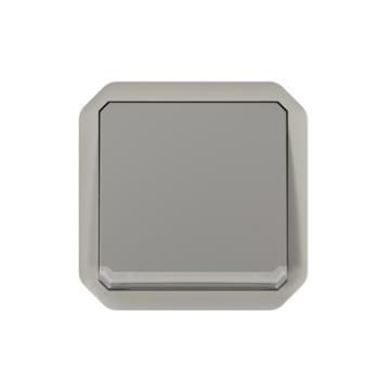  VV 10A TEMOIN GRIS COMPO 