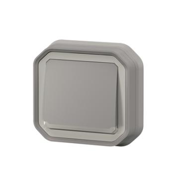  VV 10A TEMOIN GRIS ENC 