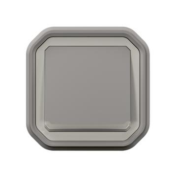  VV 10A TEMOIN GRIS ENC 