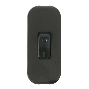  INTER BIP 2A 250V NOIR 