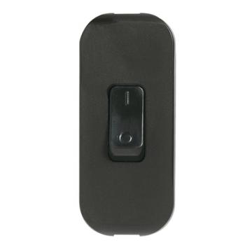  INTER BIP 2A 250V NOIR LUM. 