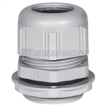 PRESSE ETOUPE RAL 7001 PG 29 