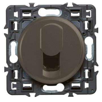  RJ45 CAT6 FTP CELIANE GRAP DIY 