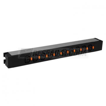  PDU 19P 10 C13 
