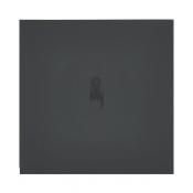  ART ESCNM V/V LUMINEUX 