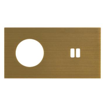  PLAQ 2P+T + USB EPURE BZ 
