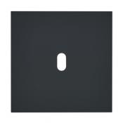  PLQ 1P 1 LEVIER EPURE NOIR MAT 