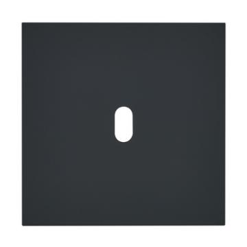  PLQ 1P 1 LEVIER EPURE NOIR MAT 