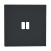  PLAQUE 1P USB EPURE NOIR MAT 