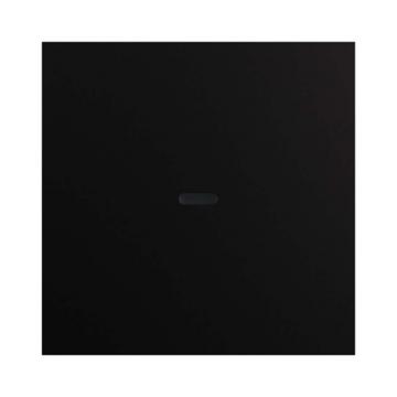  PLAQUE VV SS CONTACT ENM 
