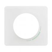  PLAQUE 1P Antimicrobien 