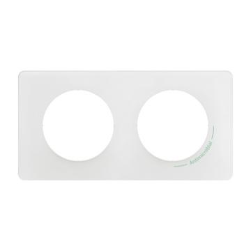  PLAQUE 2P Antimicrobien 