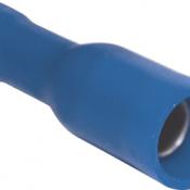 Fiche fem. ronde1,5�2,5� b 