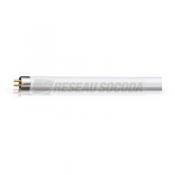  Actinic BL TL 8W/10 1FM/10X25C 