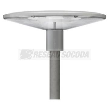 TownGuide Cne Plat (Performan 