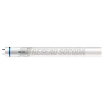  MASTER tube LED EM ou 230V G13 