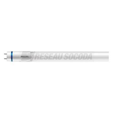  MASTER tube LED EM ou 230V G13 