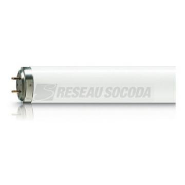  TL 100W/10-R 