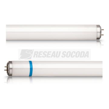  Actinic BL TL-DK Secura 36W/10 