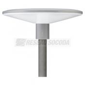  TownGuide Cne Plat (Performan 