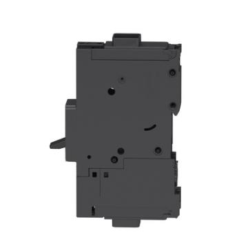  PPB 35KA TM30D 1P cosse 