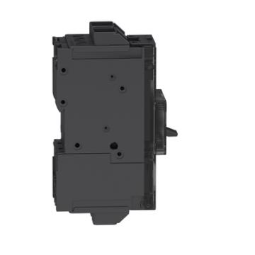  PPB 65KA TM15D 2P ever 