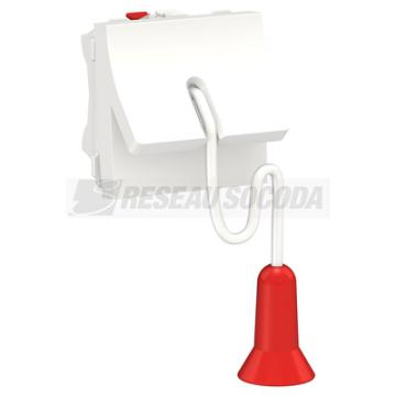  Inter  corde NO/NF 2m Bl A 