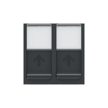  Prise 2 RJ45 S-One 2m Anth 
