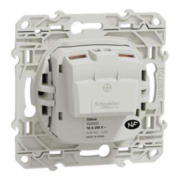  Odace 2011 PC 2P ANTH VIS RAP 