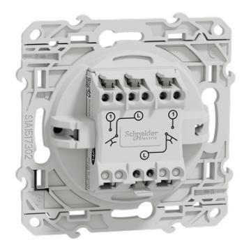  Odace 2011 DBL POUS ANT VIS RA 