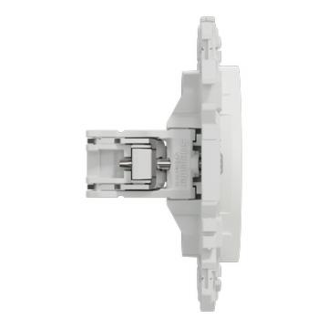  Odace obturateur blanc griffes 