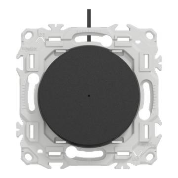  Odace VV poussoir lumineux noi 