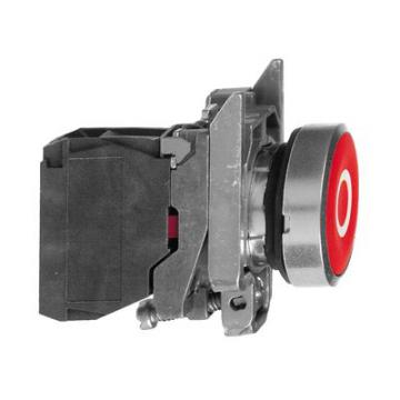  BP impulsion rouge D22 - 1O 