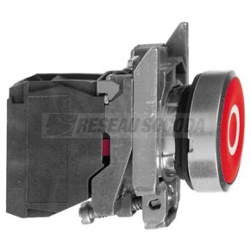  BP impulsion rouge D22 - 1O 