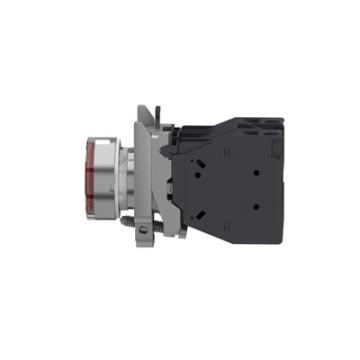 AEx BPL CAPUCHONNE ROUGE 