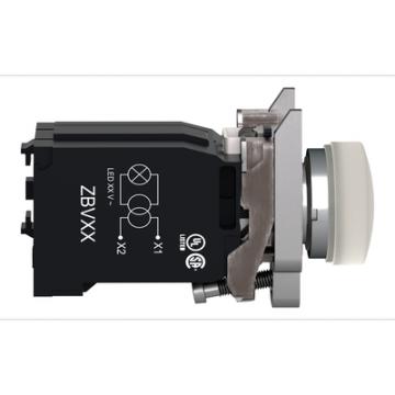  Voyant lumineux blanc 230V 