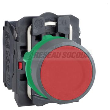  BP impulsion D22 rouge 1O+1F 