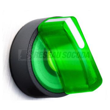  BOUTON TOURNANT LUMINEUX VERT 