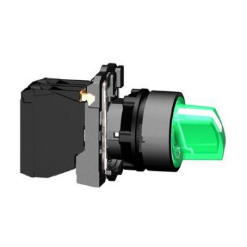  BOUTON TOURNANT LUMINEUX VERT 