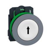  BP impuls D22 blanc marqu 1F 