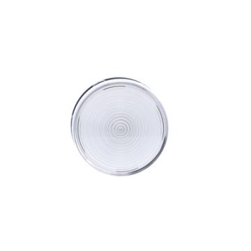  120VAC DeL VOYANT CLAIR IP65 V 