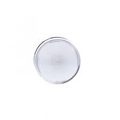  230VAC DeL VOYANT CLAIR IP65 V 