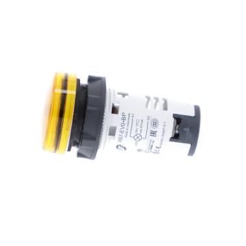  VOYANT DEL INTEGREE ORANGE 24V 
