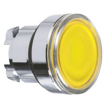  Tte bouton P P lumin affl D22 