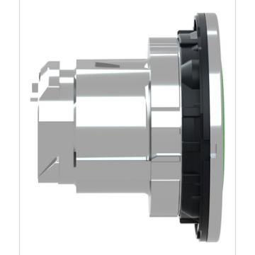  t�te BP flush marqu� vert 