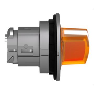  t�te BT lum flush 2p fix orang 